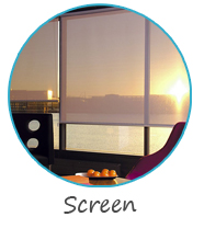 r screen